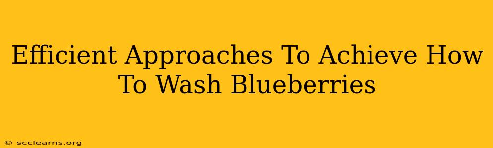 Efficient Approaches To Achieve How To Wash Blueberries