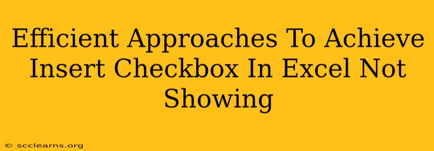 Efficient Approaches To Achieve Insert Checkbox In Excel Not Showing