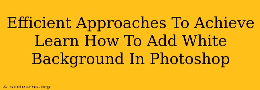 Efficient Approaches To Achieve Learn How To Add White Background In Photoshop