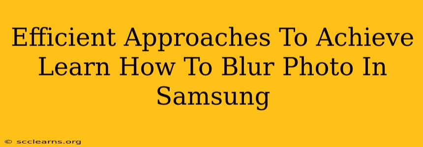 Efficient Approaches To Achieve Learn How To Blur Photo In Samsung