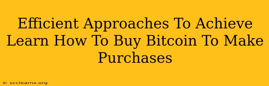 Efficient Approaches To Achieve Learn How To Buy Bitcoin To Make Purchases