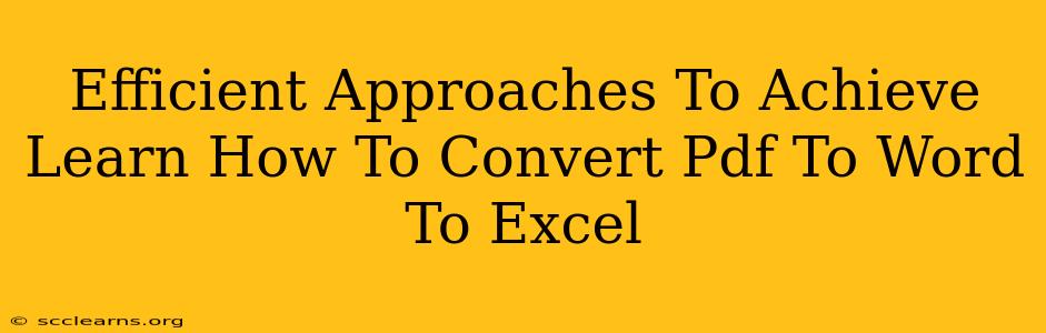 Efficient Approaches To Achieve Learn How To Convert Pdf To Word To Excel