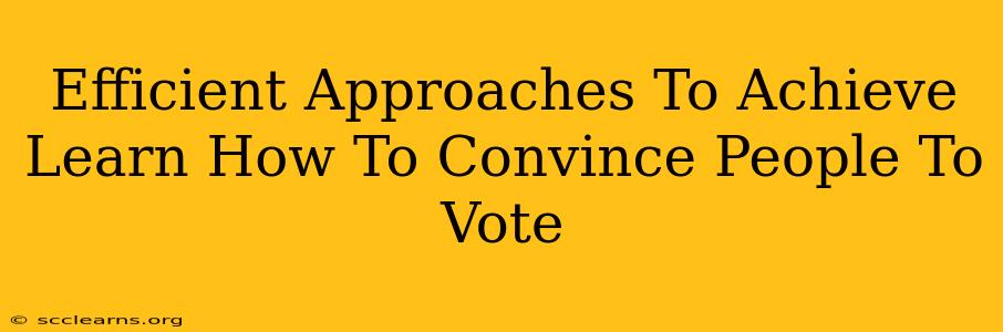 Efficient Approaches To Achieve Learn How To Convince People To Vote