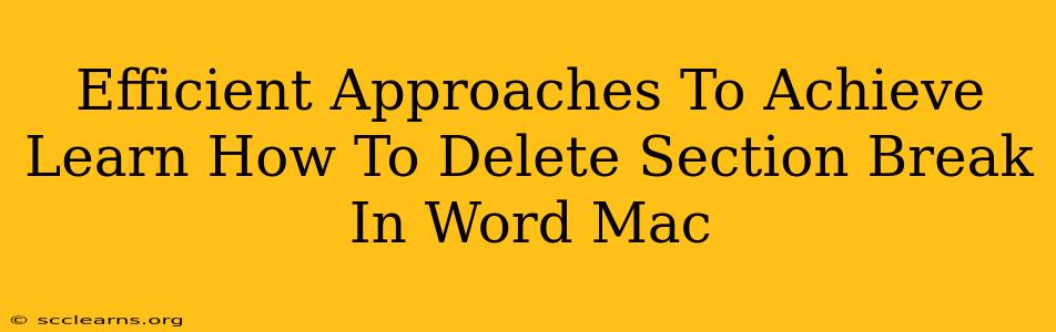 Efficient Approaches To Achieve Learn How To Delete Section Break In Word Mac