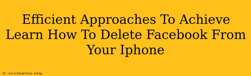 Efficient Approaches To Achieve Learn How To Delete Facebook From Your Iphone