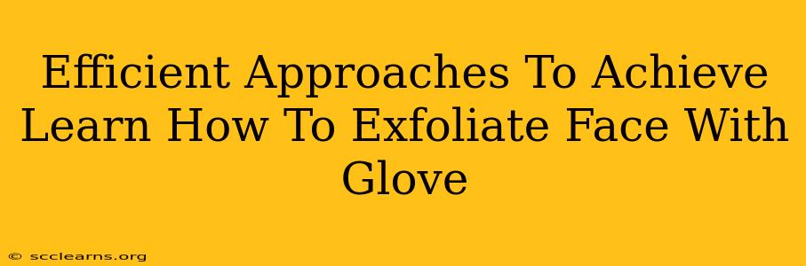 Efficient Approaches To Achieve Learn How To Exfoliate Face With Glove