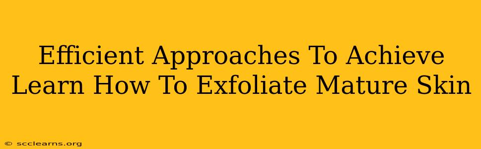 Efficient Approaches To Achieve Learn How To Exfoliate Mature Skin