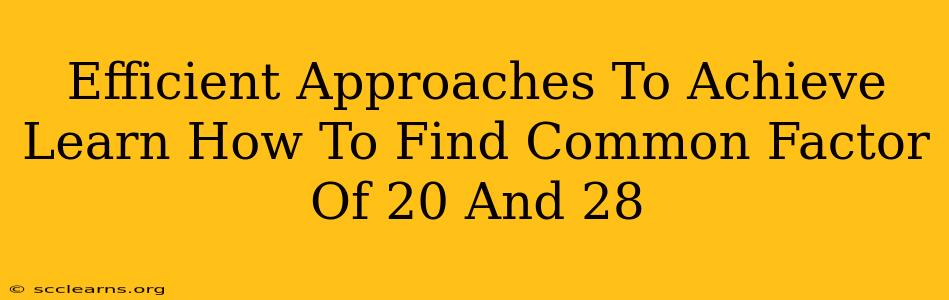 Efficient Approaches To Achieve Learn How To Find Common Factor Of 20 And 28