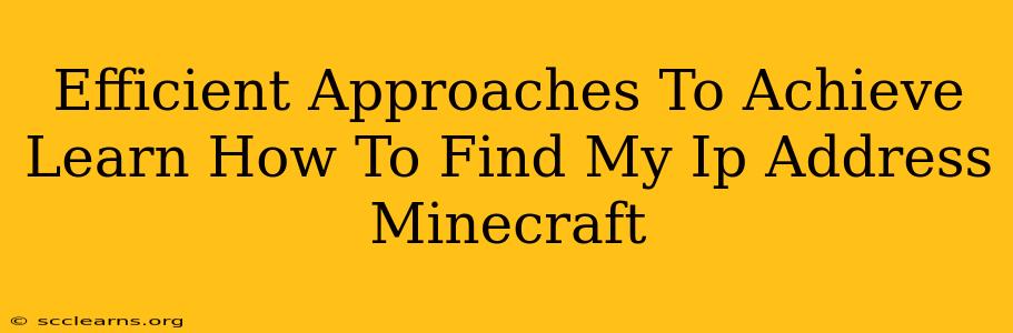 Efficient Approaches To Achieve Learn How To Find My Ip Address Minecraft