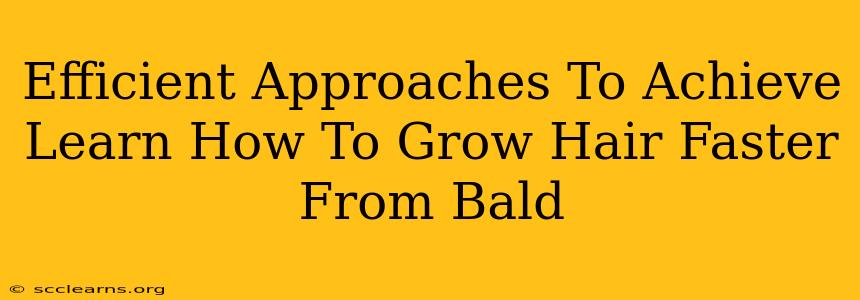 Efficient Approaches To Achieve Learn How To Grow Hair Faster From Bald