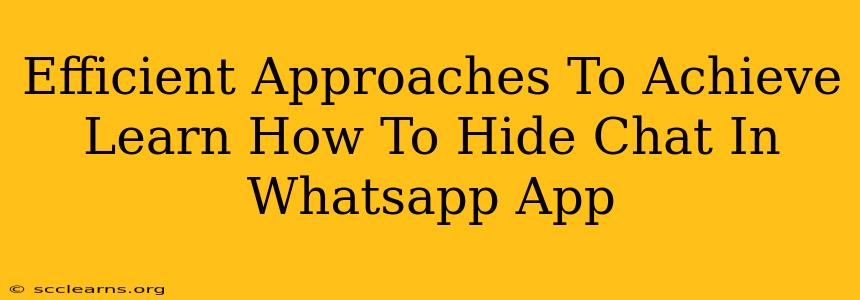 Efficient Approaches To Achieve Learn How To Hide Chat In Whatsapp App