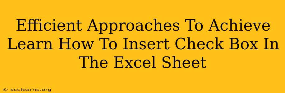 Efficient Approaches To Achieve Learn How To Insert Check Box In The Excel Sheet