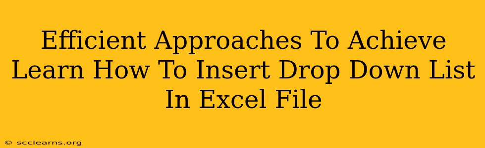 Efficient Approaches To Achieve Learn How To Insert Drop Down List In Excel File