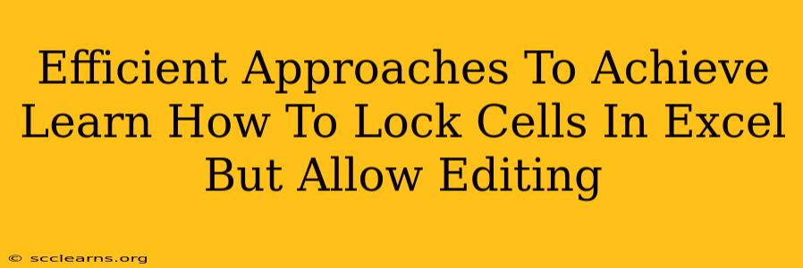 Efficient Approaches To Achieve Learn How To Lock Cells In Excel But Allow Editing