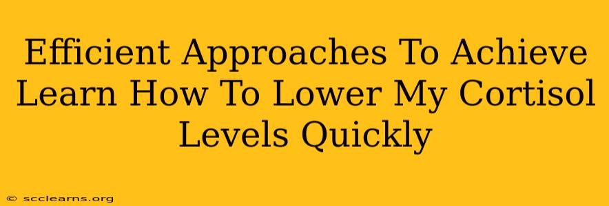 Efficient Approaches To Achieve Learn How To Lower My Cortisol Levels Quickly