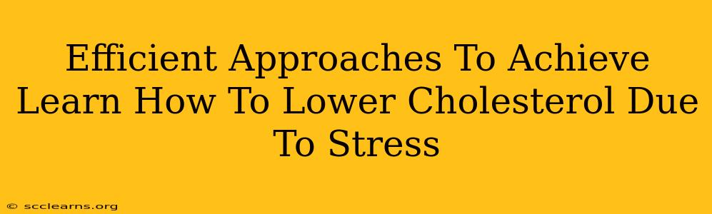 Efficient Approaches To Achieve Learn How To Lower Cholesterol Due To Stress