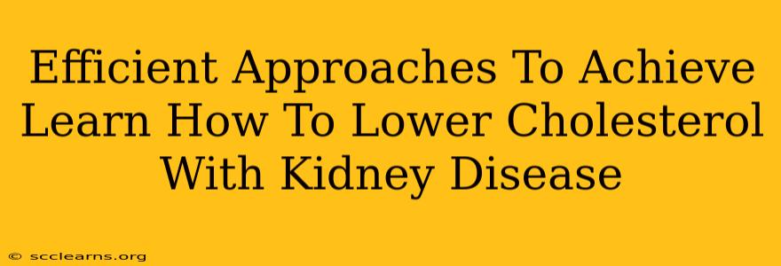 Efficient Approaches To Achieve Learn How To Lower Cholesterol With Kidney Disease