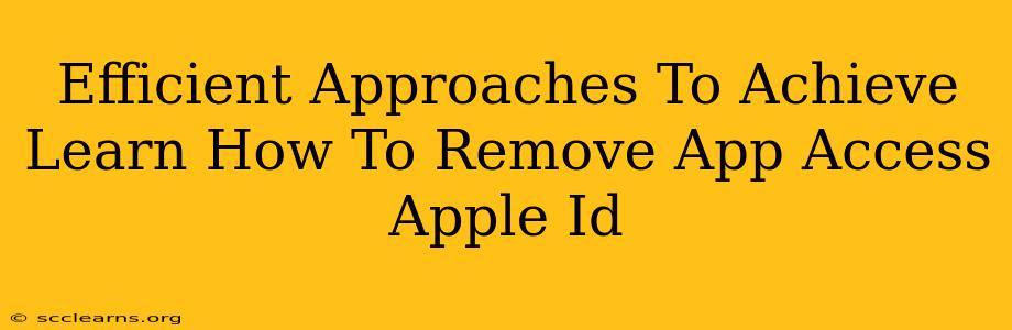 Efficient Approaches To Achieve Learn How To Remove App Access Apple Id