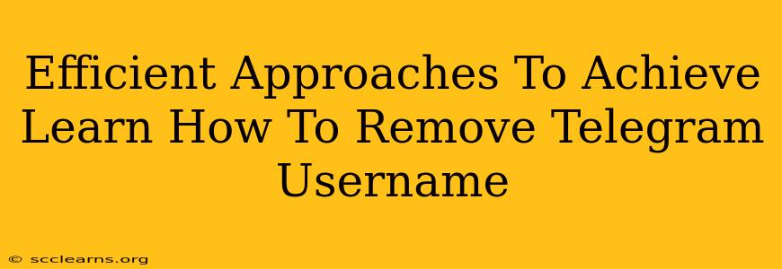 Efficient Approaches To Achieve Learn How To Remove Telegram Username