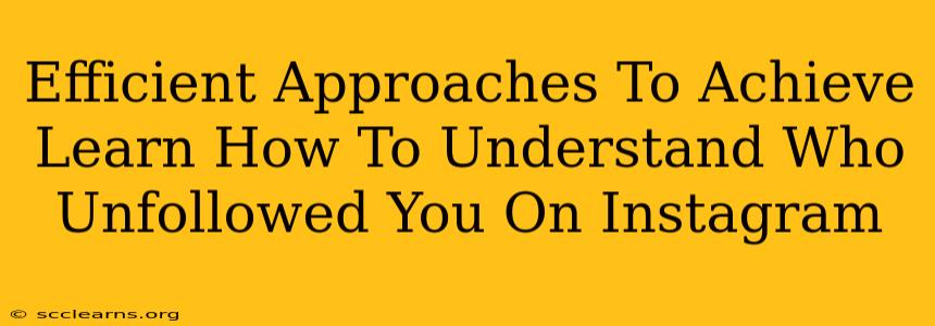 Efficient Approaches To Achieve Learn How To Understand Who Unfollowed You On Instagram