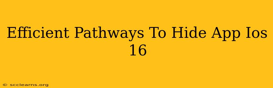 Efficient Pathways To Hide App Ios 16