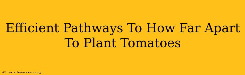 Efficient Pathways To How Far Apart To Plant Tomatoes