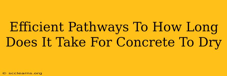 Efficient Pathways To How Long Does It Take For Concrete To Dry