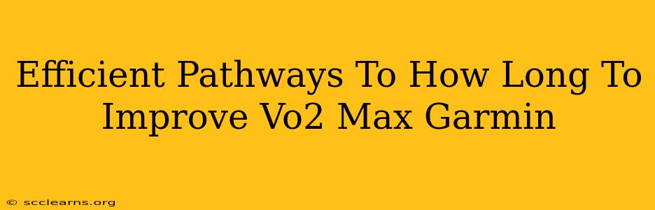 Efficient Pathways To How Long To Improve Vo2 Max Garmin