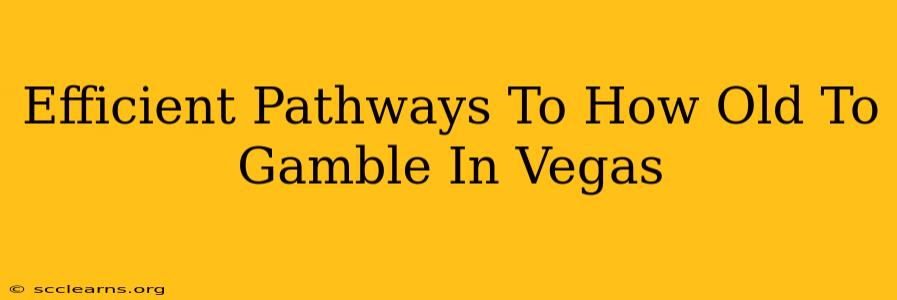 Efficient Pathways To How Old To Gamble In Vegas