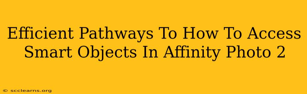 Efficient Pathways To How To Access Smart Objects In Affinity Photo 2