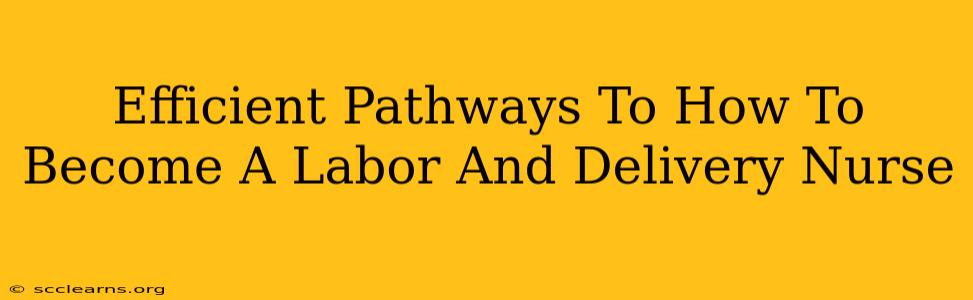 Efficient Pathways To How To Become A Labor And Delivery Nurse