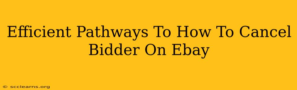 Efficient Pathways To How To Cancel Bidder On Ebay