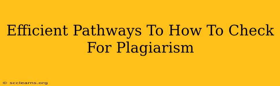 Efficient Pathways To How To Check For Plagiarism