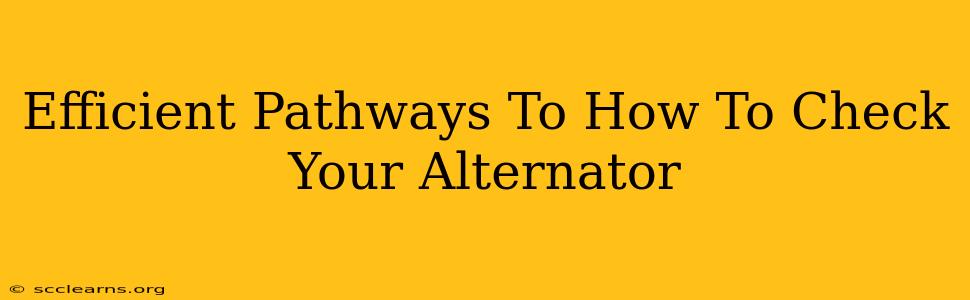 Efficient Pathways To How To Check Your Alternator