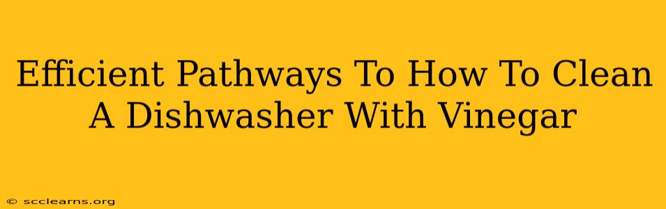 Efficient Pathways To How To Clean A Dishwasher With Vinegar