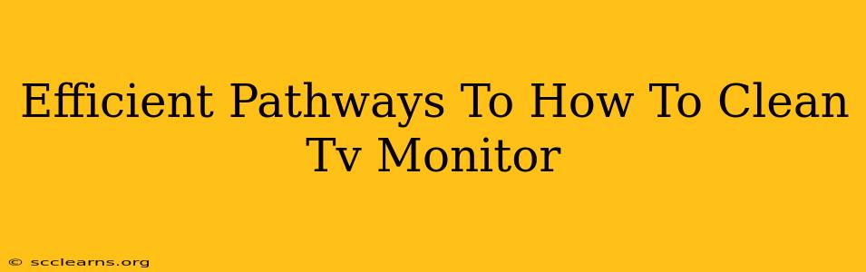 Efficient Pathways To How To Clean Tv Monitor