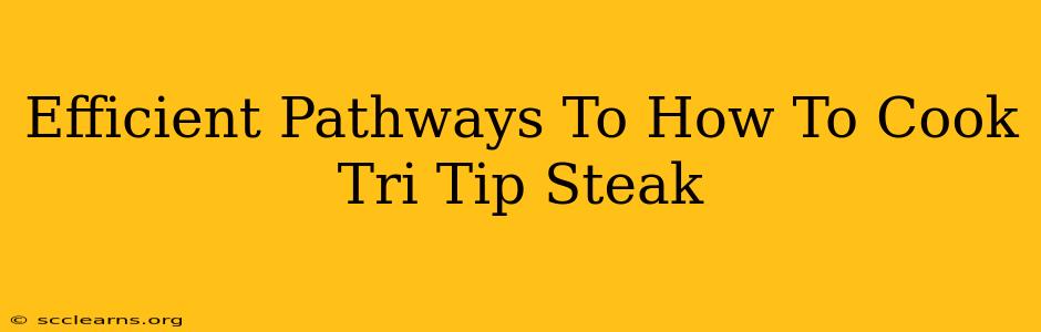 Efficient Pathways To How To Cook Tri Tip Steak