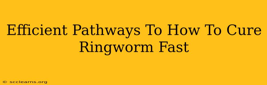 Efficient Pathways To How To Cure Ringworm Fast