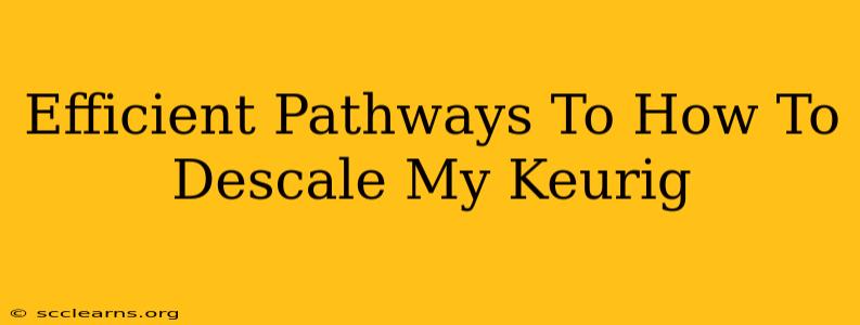 Efficient Pathways To How To Descale My Keurig