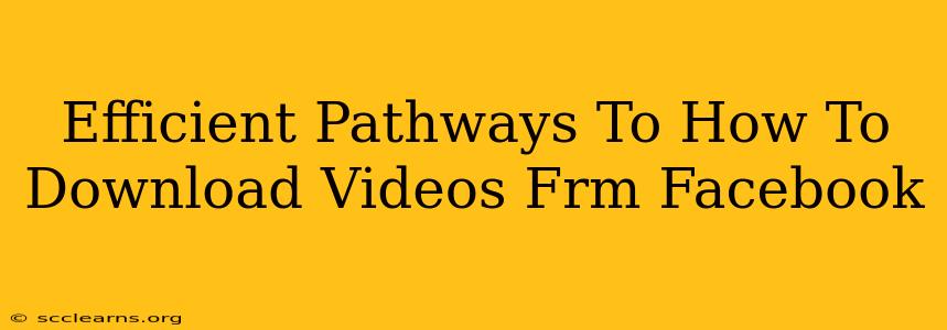 Efficient Pathways To How To Download Videos Frm Facebook