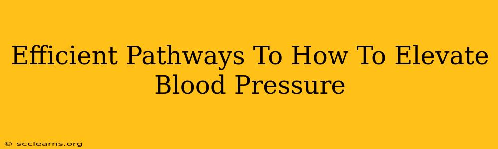 Efficient Pathways To How To Elevate Blood Pressure