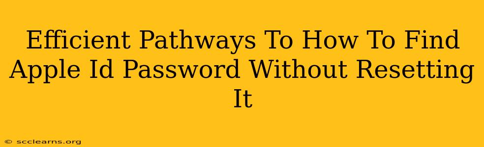 Efficient Pathways To How To Find Apple Id Password Without Resetting It