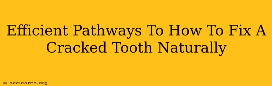 Efficient Pathways To How To Fix A Cracked Tooth Naturally