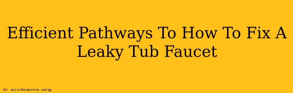 Efficient Pathways To How To Fix A Leaky Tub Faucet