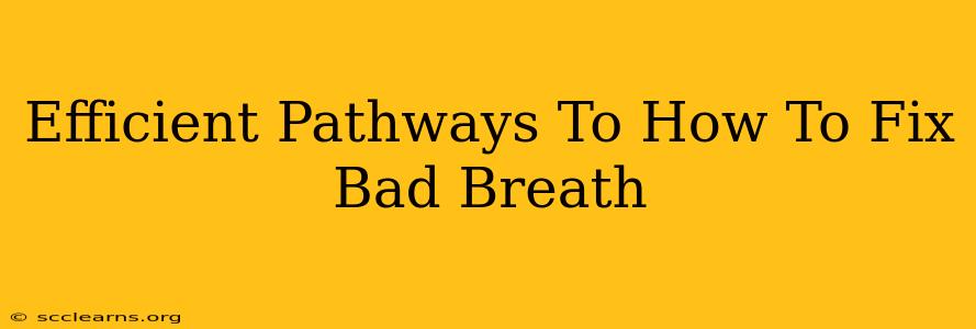 Efficient Pathways To How To Fix Bad Breath