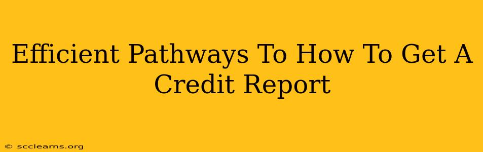 Efficient Pathways To How To Get A Credit Report