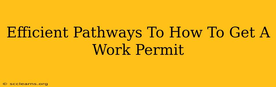 Efficient Pathways To How To Get A Work Permit