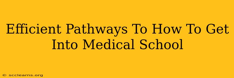 Efficient Pathways To How To Get Into Medical School