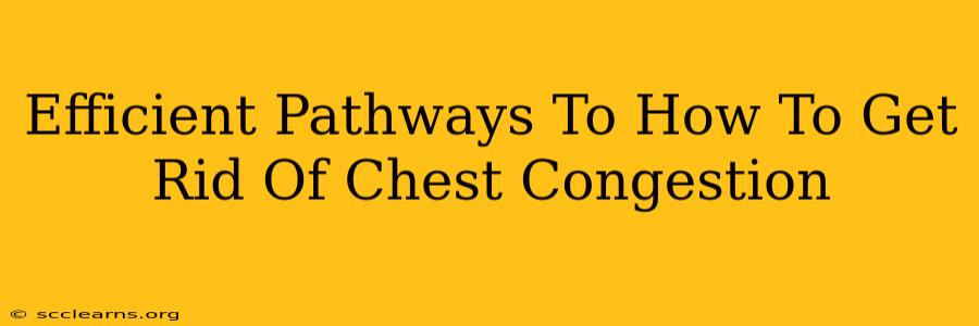 Efficient Pathways To How To Get Rid Of Chest Congestion