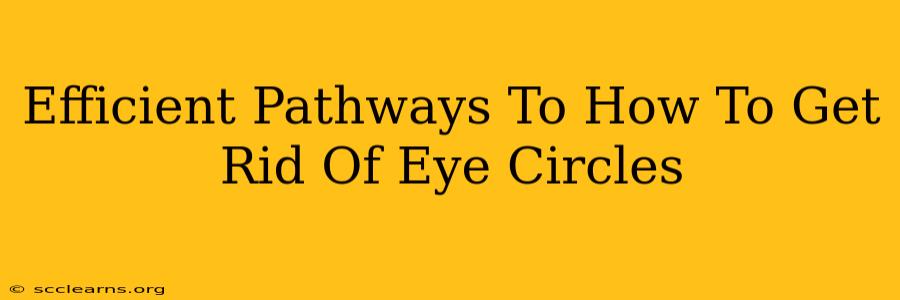 Efficient Pathways To How To Get Rid Of Eye Circles